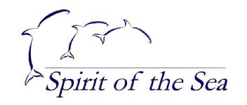 Imagen de Spirit of the Sea