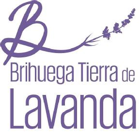 Imagen de B BRIHUEGA TIERRA DE LAVANDA