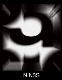 Imagen de NIN3S