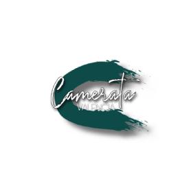 Imagen de Camerata Valencia