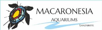 Imagen de MACARONESIA AQUARIUMS LANZAROTE
