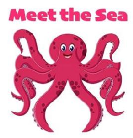 Imagen de MEET THE SEA