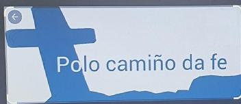 Imagen de POLO CAMIÑO DA FE