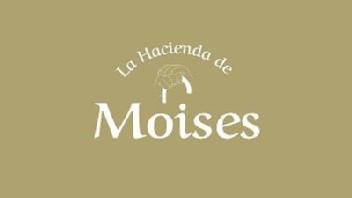 Imagen de LA HACIENDA DE MOISES