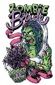 Imagen de ZOMBIE BRIDE RIPPER SEEDS