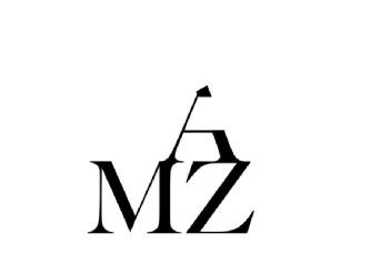 Imagen de AMZ