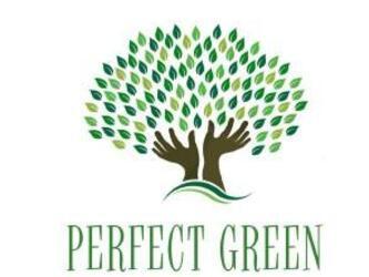 Imagen de PERFECT GREEN