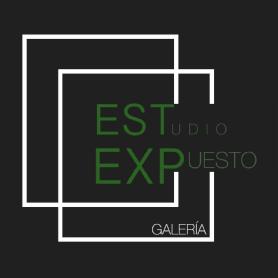 Imagen de Estudio Expuesto Galería