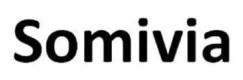 Imagen de SOMIVIA