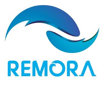 Imagen de REMORA