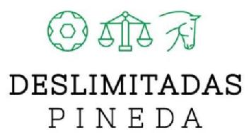 Imagen de DESLIMITADAS PINEDA