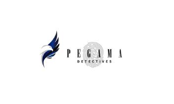 Imagen de PEGAMA DETECTIVES