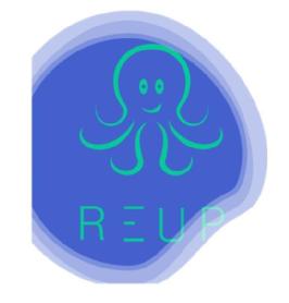 Imagen de REUP