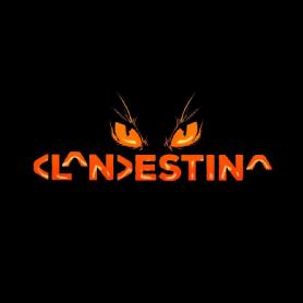 Imagen de CLANDESTINA