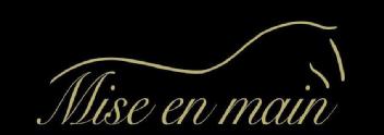Imagen de MISE EN MAIN