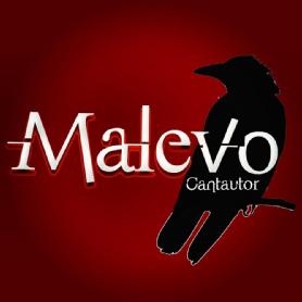 Imagen de MALEVO Cantautor