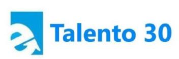 Imagen de E TALENTO 30