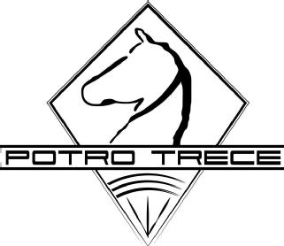 Imagen de POTRO TRECE