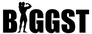 Imagen de BIGGST