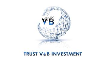 Imagen de V B TRUST V&B INVESTMENT