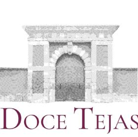 Imagen de DOCE TEJAS