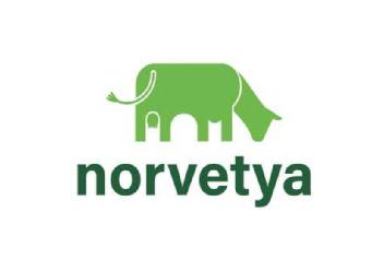 Imagen de norvetya