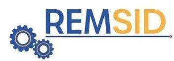 Imagen de REMSID