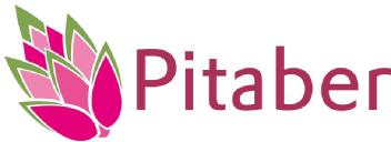 Imagen de PITABER
