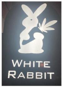 Imagen de WHITE RABBIT