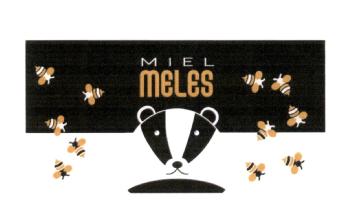Imagen de MIEL MELES