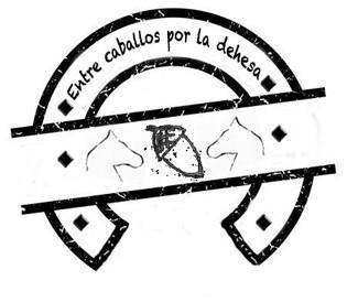 Imagen de ENTRE CABALLOS POR LA DEHESA