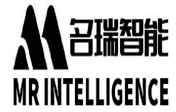 Imagen de MR INTELLIGENCE