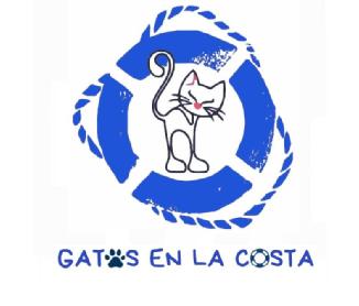 Imagen de GATOS EN LA COSTA