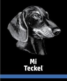 Imagen de Mi Teckel