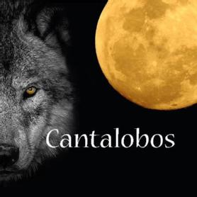 Imagen de CANTALOBOS