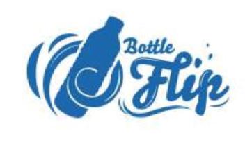 Imagen de Bottle Flip