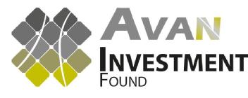 Imagen de AVAN INVESTMENT FOUND