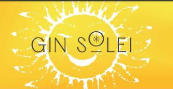 Imagen de GIN SOLEI