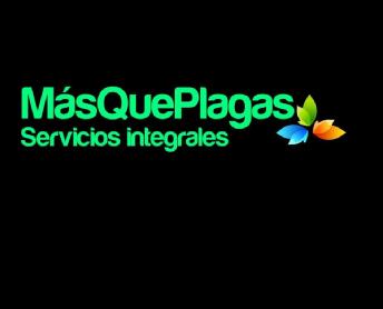 Imagen de MásQuePlagas Servicios integrales
