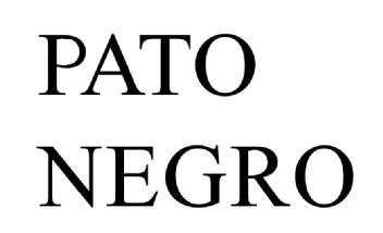 Imagen de PATO NEGRO