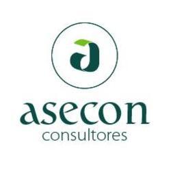 Imagen de ASECON CONSULTORES