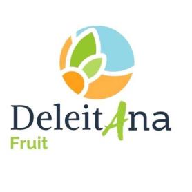 Imagen de DELEITANA FRUIT