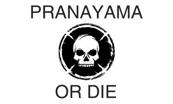 Imagen de PRANAYAMA OR DIE