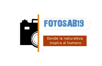 Imagen de M4151742