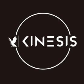 Imagen de KINESIS