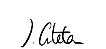 Imagen de I.Arteta