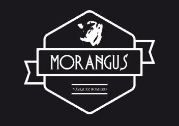 Imagen de MORANGUS, VÁZQUEZ ROMERO