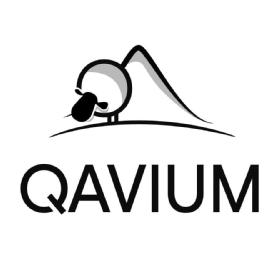 Imagen de QAVIUM