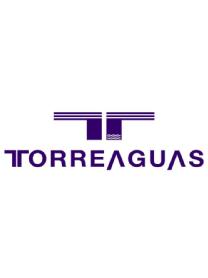 Imagen de T TORREAGUAS