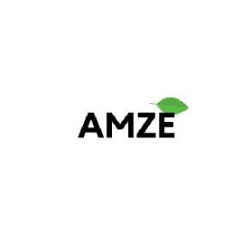 Imagen de Amze